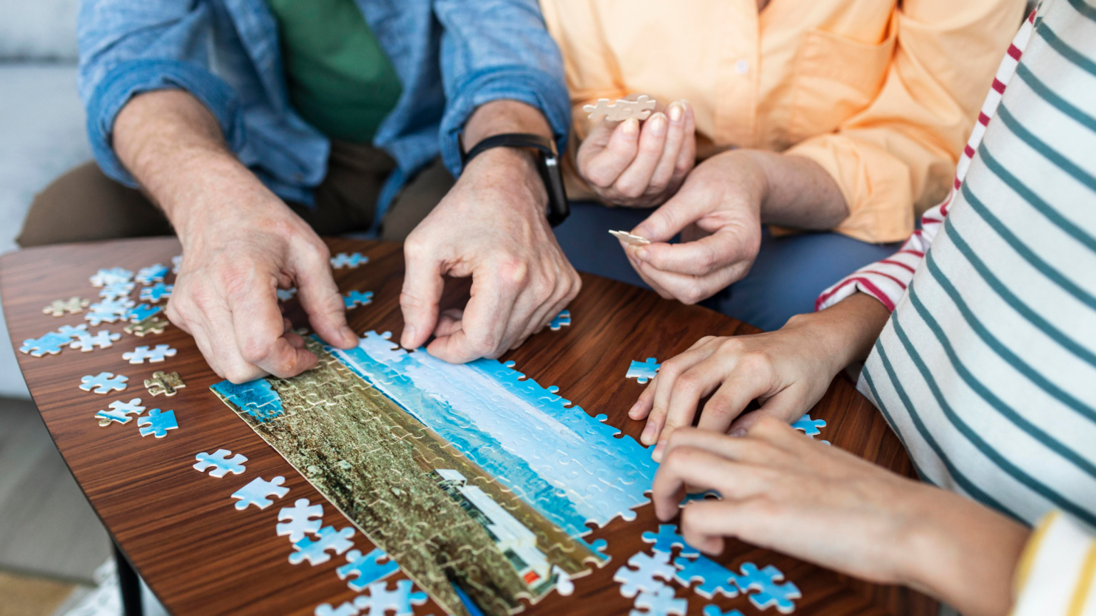 Dementia Brain Games - Jigsaw Puzzles - This Insidious Dementia