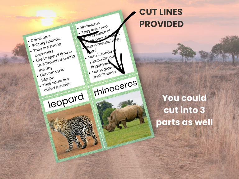 1 page from etsy product african safari animal matching activity on background of an african savannah